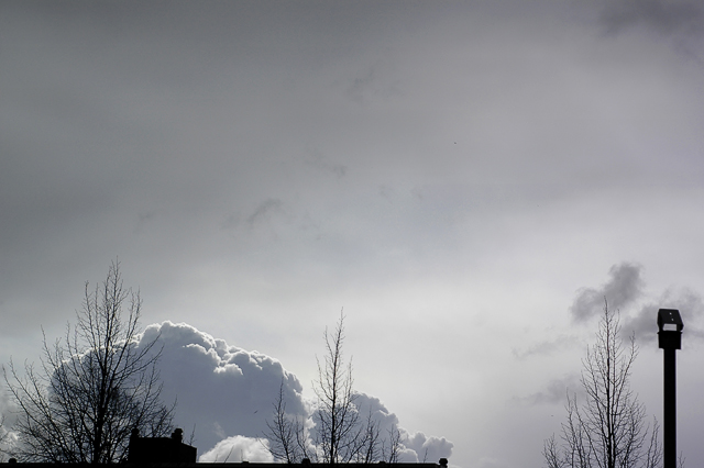 Dutch Sky